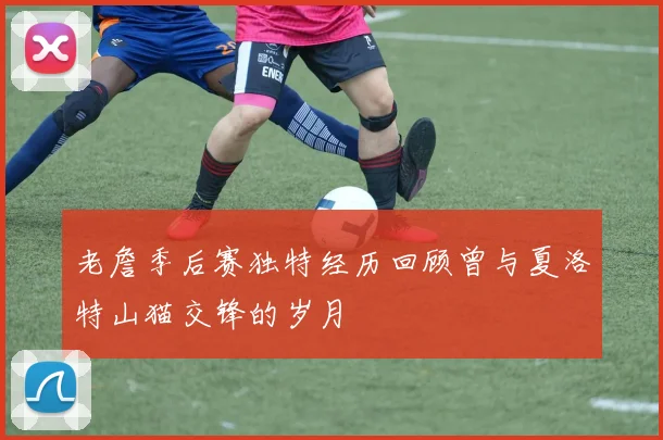 老詹季后赛独特经历回顾曾与夏洛特山猫交锋的岁月